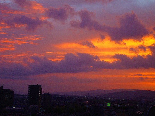 f0050105_19345359.jpg