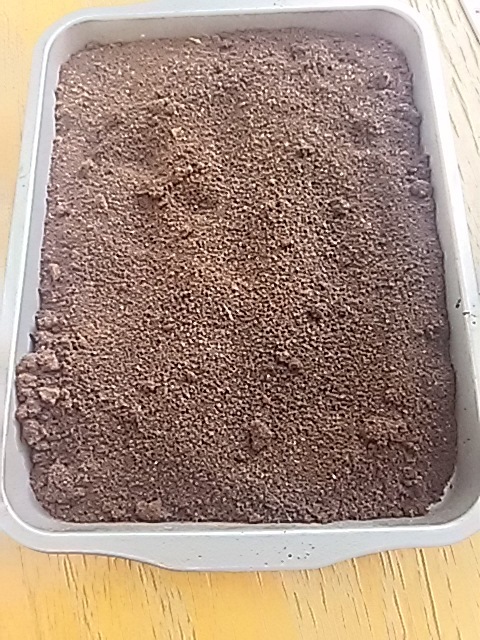 f0316507_20594253.jpg