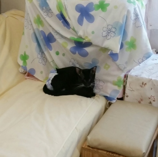 e0144012_03164522.jpeg