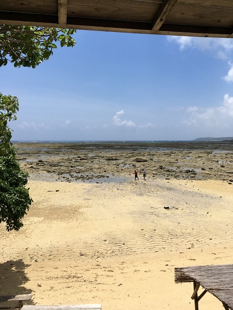 e0303726_17335740.jpg