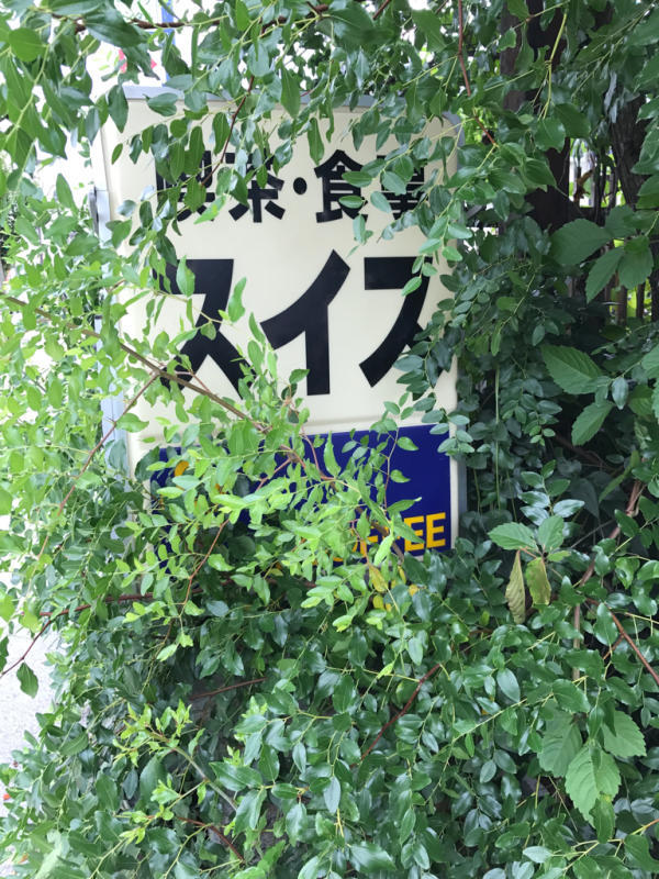 はじめての麹室。_b0235528_17162806.jpg