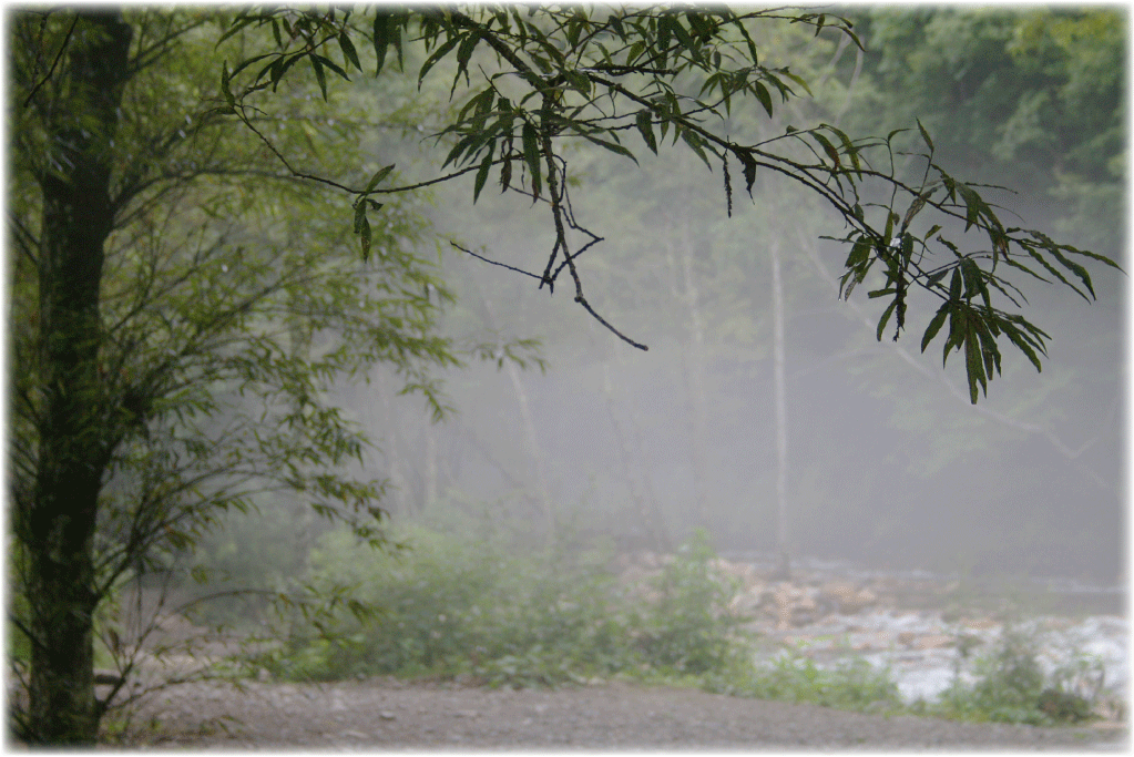 c0107829_19071472.gif