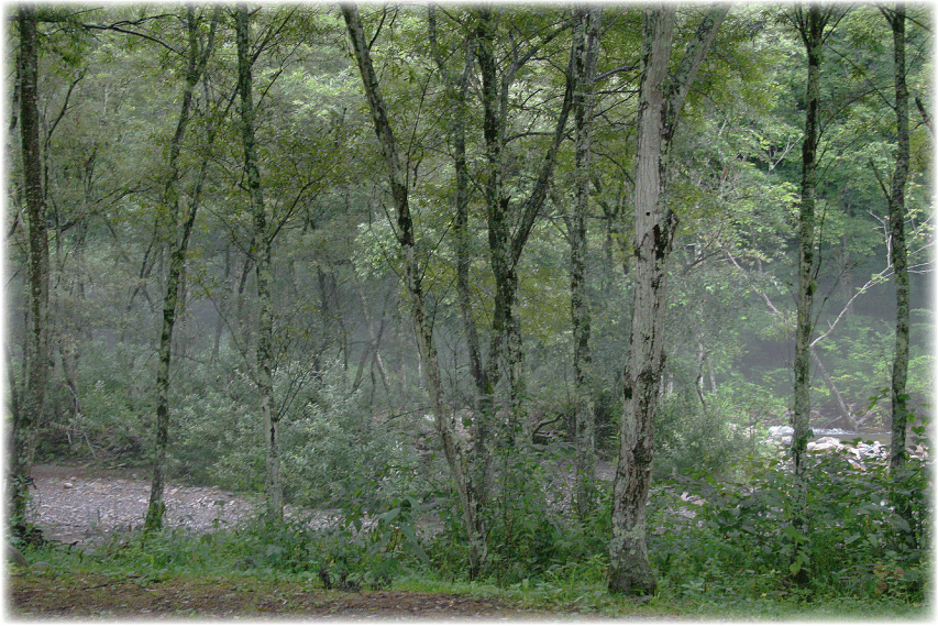 c0107829_19072923.gif