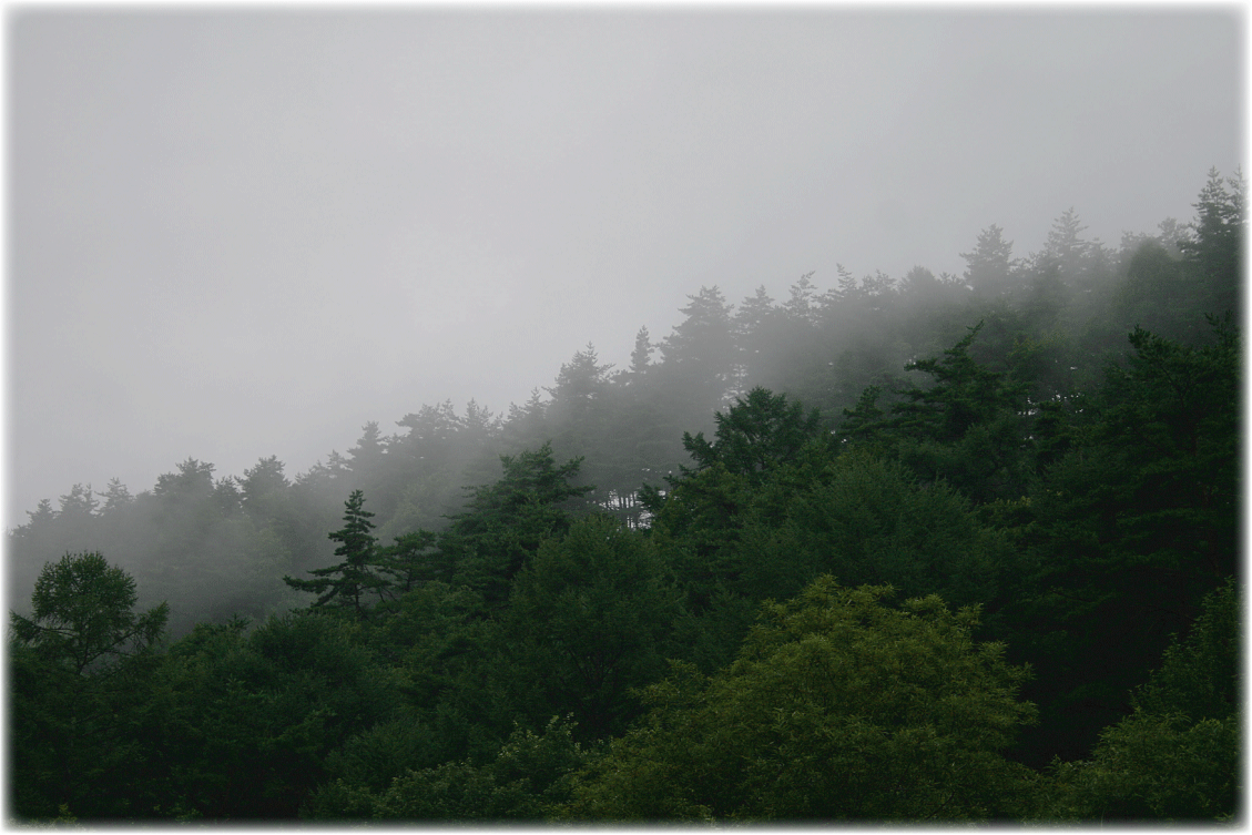 c0107829_19083101.gif