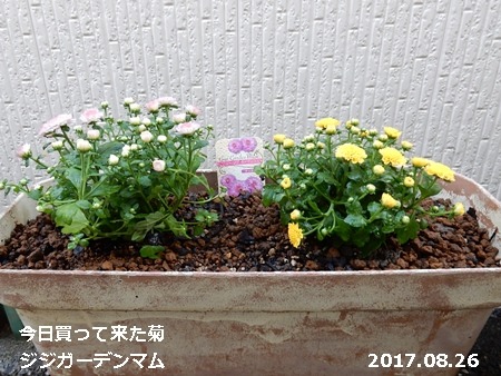 e0033229_18355387.jpg