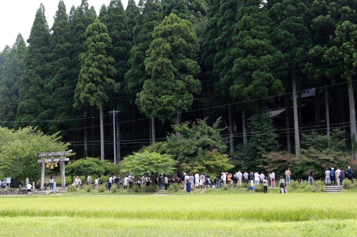 【名もなき池(モネの池)】夏の帰省 - 8 -_f0348831_08171185.jpg