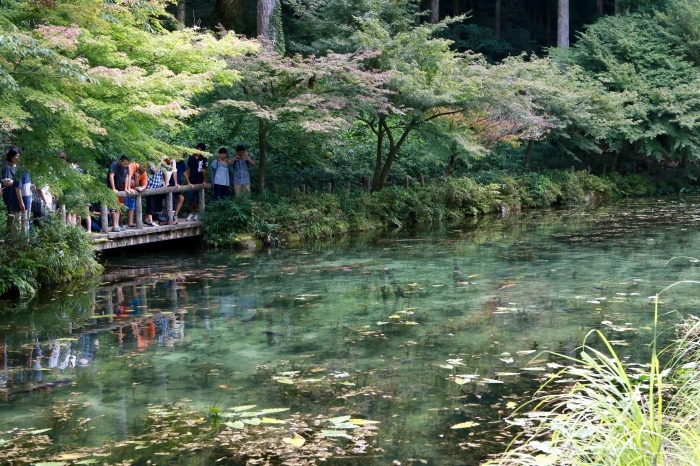 【名もなき池（モネの池）】夏の帰省 - 8 -_f0348831_08174947.jpg