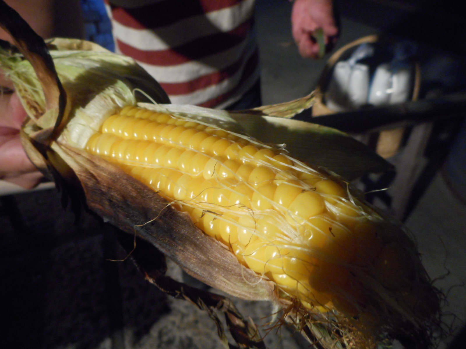 炭焼きコンロためし焼!_b0140235_22525789.jpg