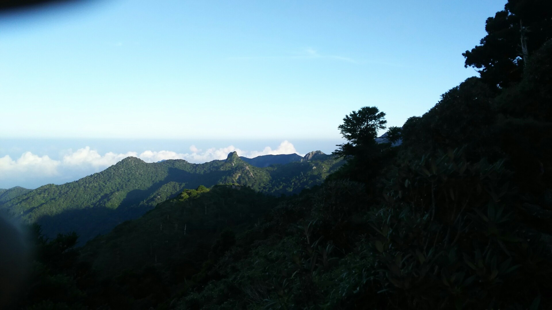 c0077338_09341155.jpg