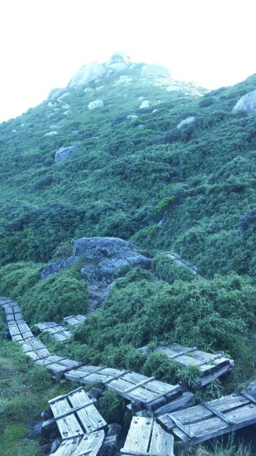 c0077338_09343197.jpg