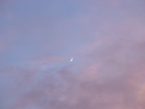 夕焼け_a0014840_20435665.jpg