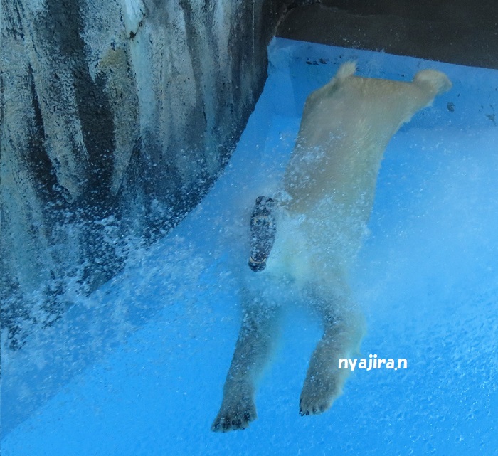 晴天の浜松_f0002743_0201658.jpg