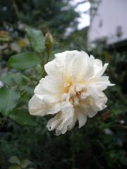 c0376951_12170566.jpg