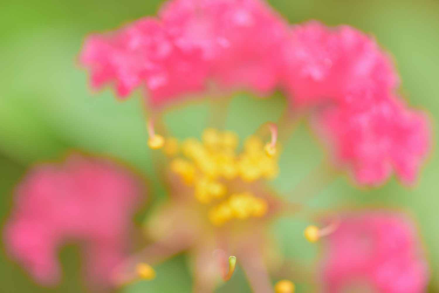 d0286954_05554421.jpg