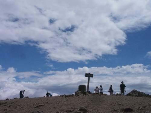 沢入登山口から花の入笠山へ　　2017.８.23（水）_b0335256_13591943.jpg