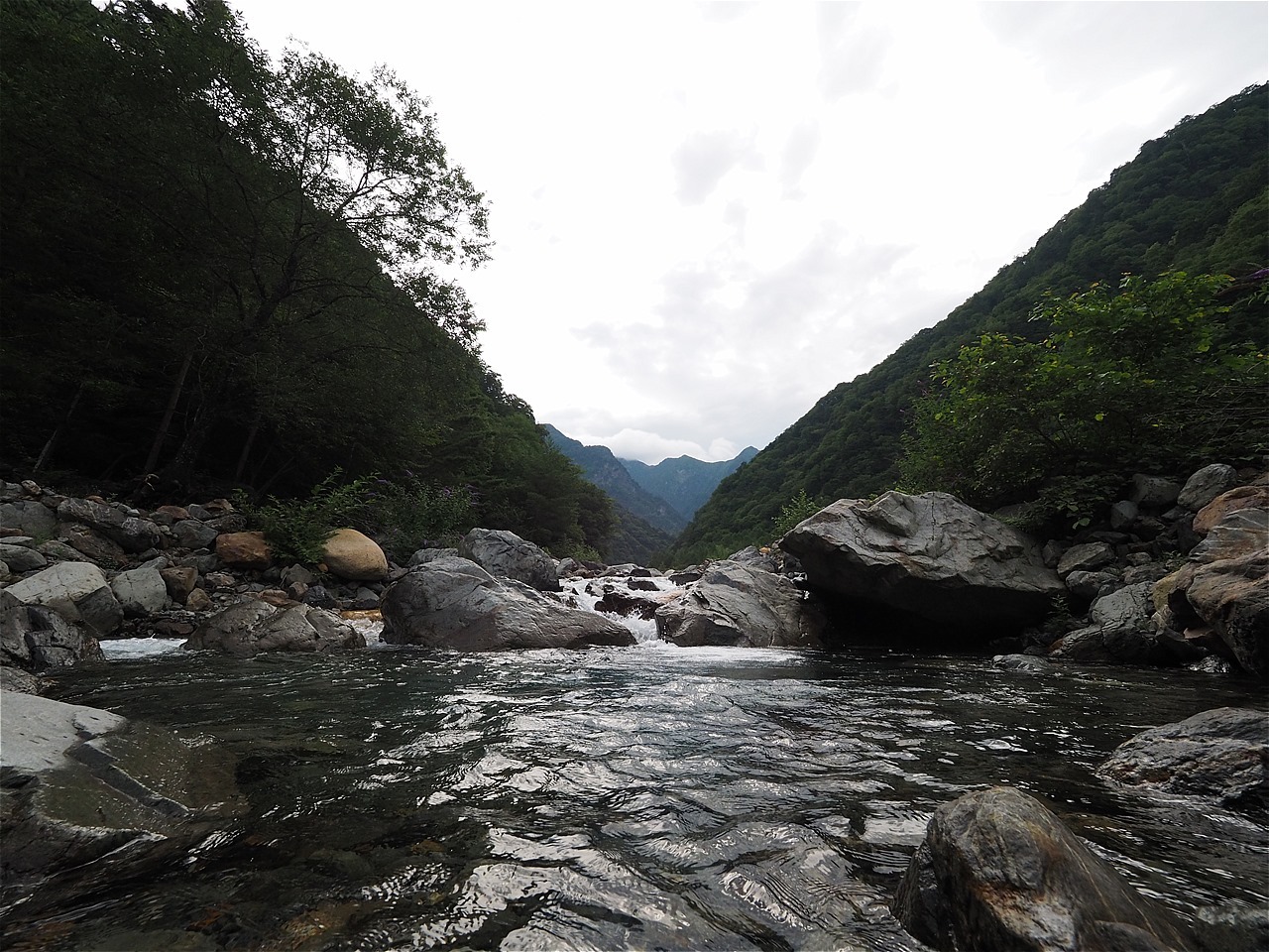c0237264_11445315.jpg