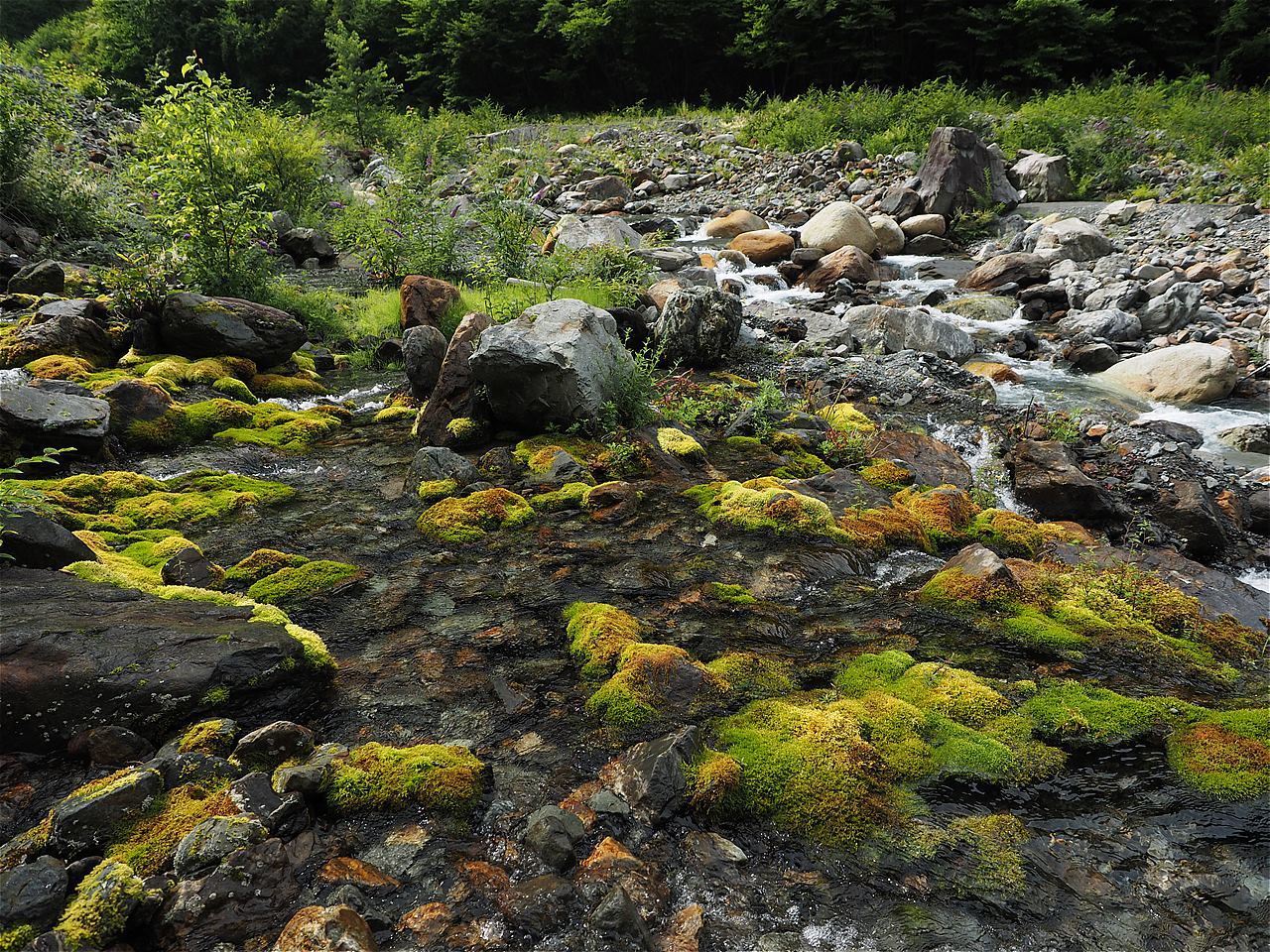c0237264_11454352.jpg