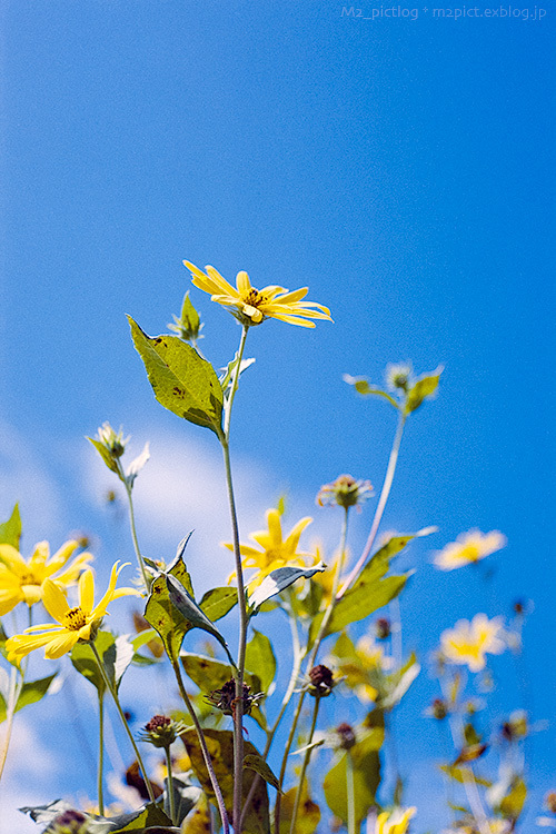 e0097970_20095701.jpg