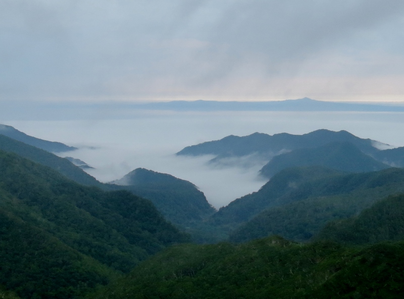 c0183777_21895.jpg