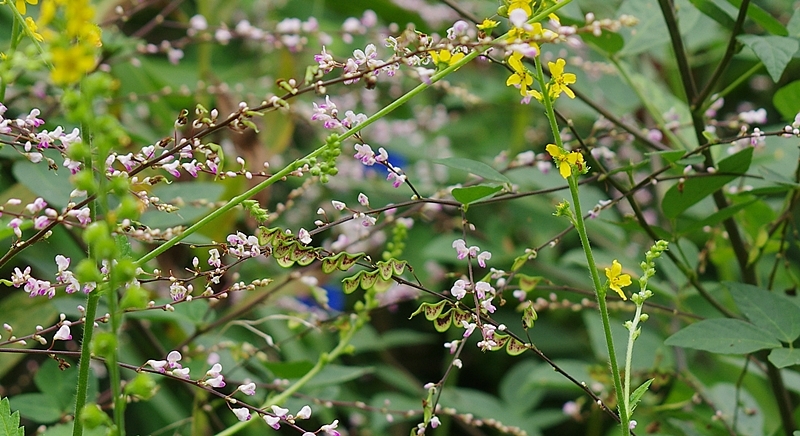 b0018682_22360099.jpg
