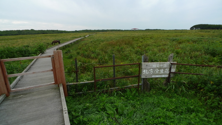 c0212083_20393236.jpg