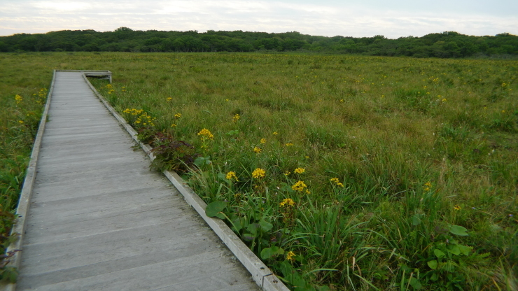 c0212083_20412123.jpg