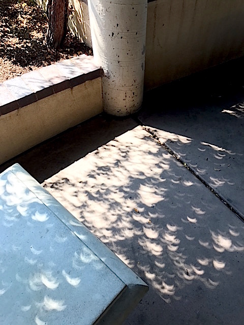 d0251987_21192053.jpeg