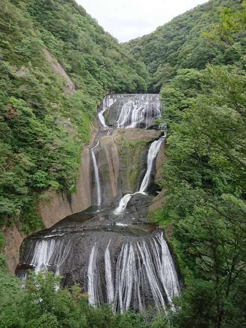 d0147789_20141880.jpg