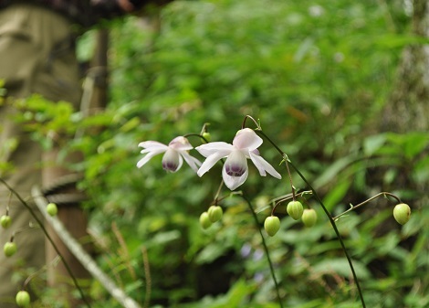 c0034391_22373039.jpg