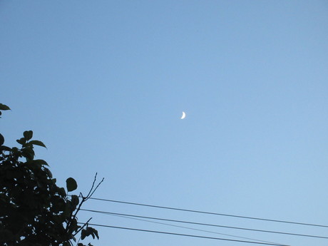 a0203003_20415567.jpg