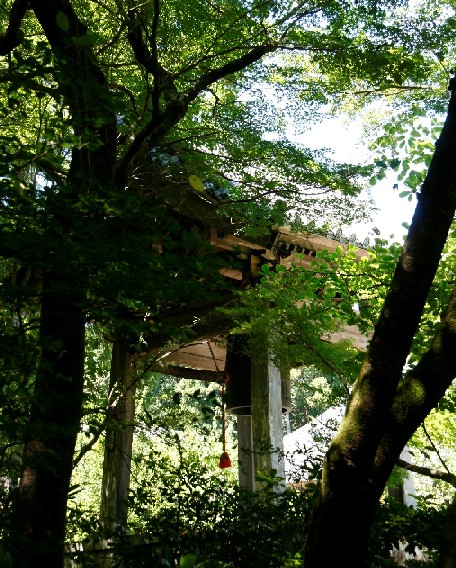 d0140806_8552980.jpg