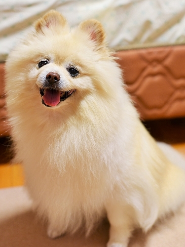 不測の事態が_d0360206_11502802.jpg