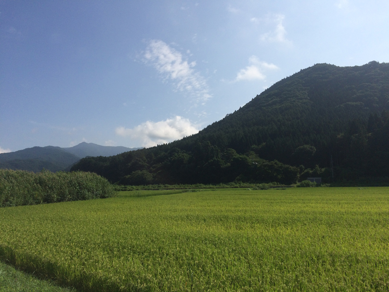 秋の匂い♪_f0051306_18324548.jpg