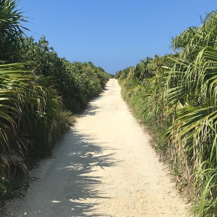 神の島、久高島へ。_d0116009_13412934.jpg