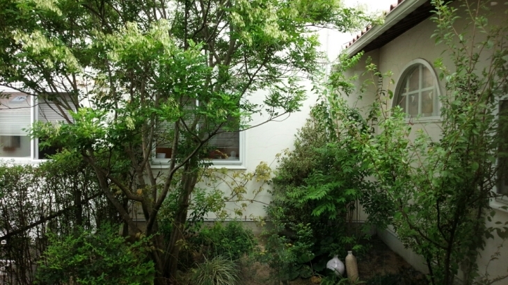 c0173826_13520432.jpg