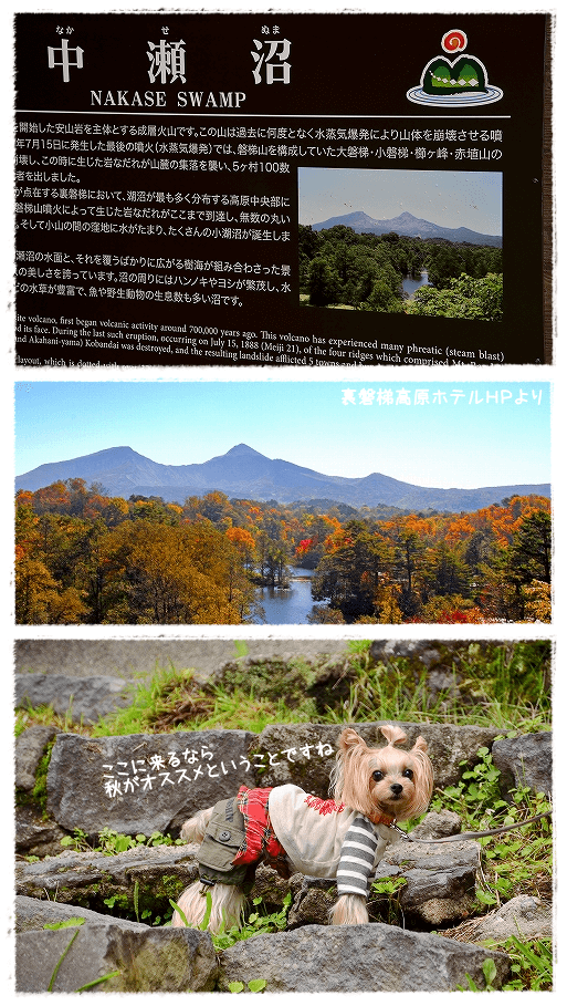 d0179828_12065585.png