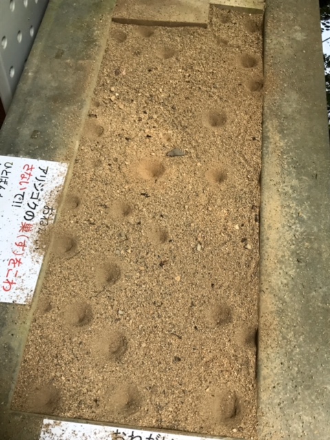 f0177529_21402872.jpg