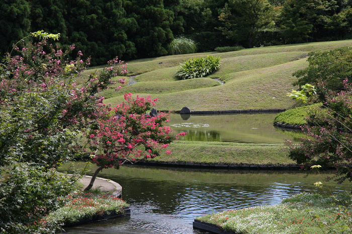 百日紅の風景 － 梅小路公園－_b0169330_2243798.jpg