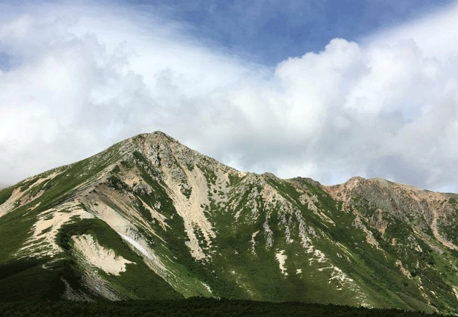 e0371039_833396.gif