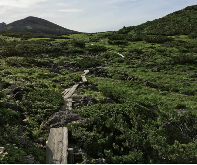 ☆ 日本最後の秘境を歩く “ 北ア・水晶岳～鷲羽岳～笠ヶ岳 ” ：８月１７日（木）夜～２１日（月）_e0371039_8384625.gif