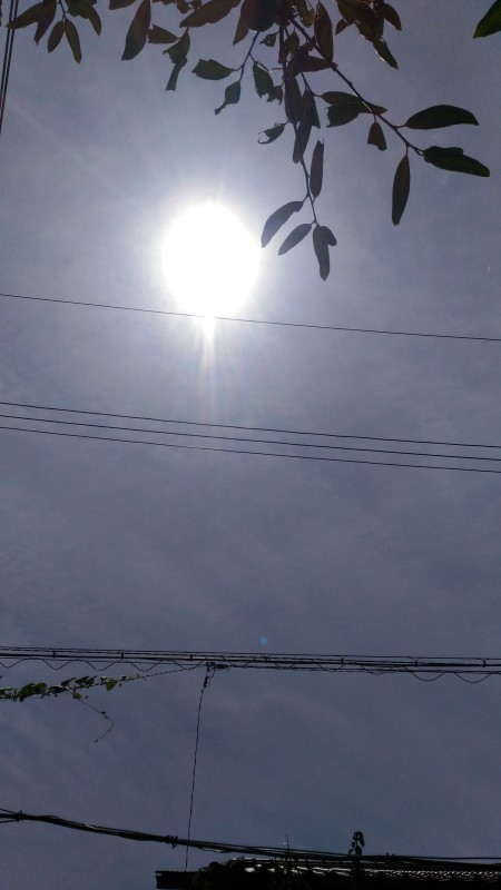 d0343540_18103613.jpg