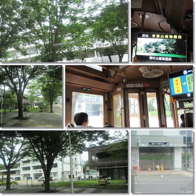 【仙台again】⑧ るーぷる仙台で青葉城から仙台駅へ_b0009849_16253514.jpg
