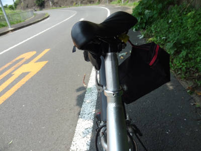 e0033751_1540929.jpg