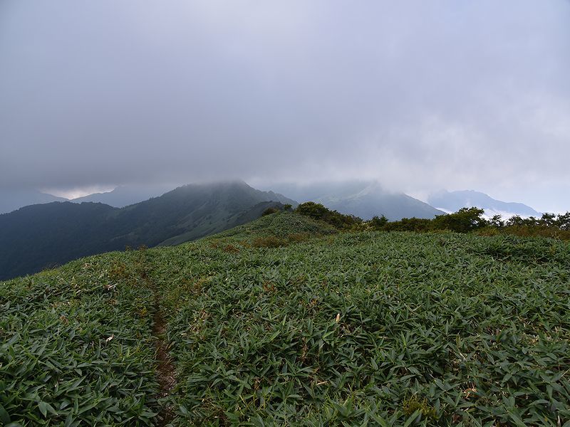 b0370155_18345710.jpg