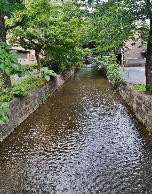 旧五条楽園を歩く（６）高瀬川に沿って_b0063958_18161035.jpg