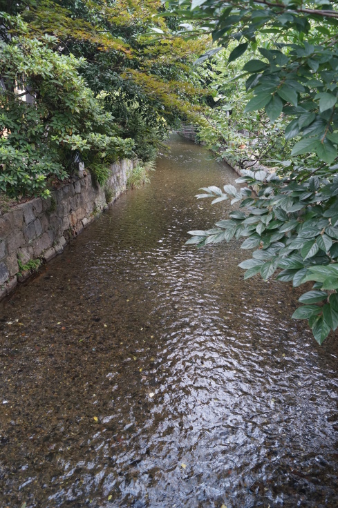 旧五条楽園を歩く(6)高瀬川に沿って_b0063958_18200161.jpg