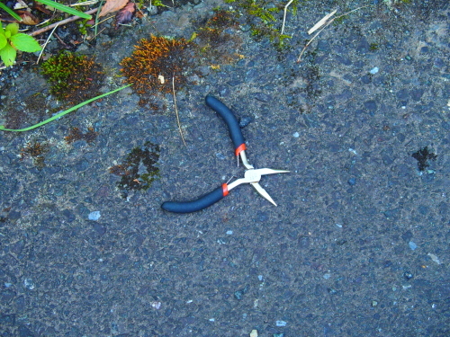 f0327061_20141767.jpg