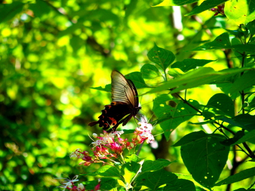 f0327061_20142606.jpg
