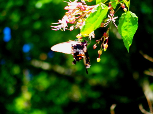 f0327061_20144165.jpg