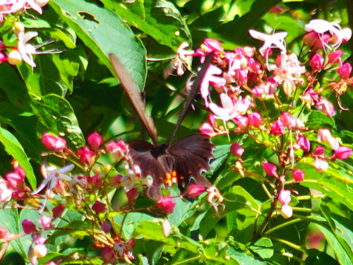 f0327061_20145132.jpg